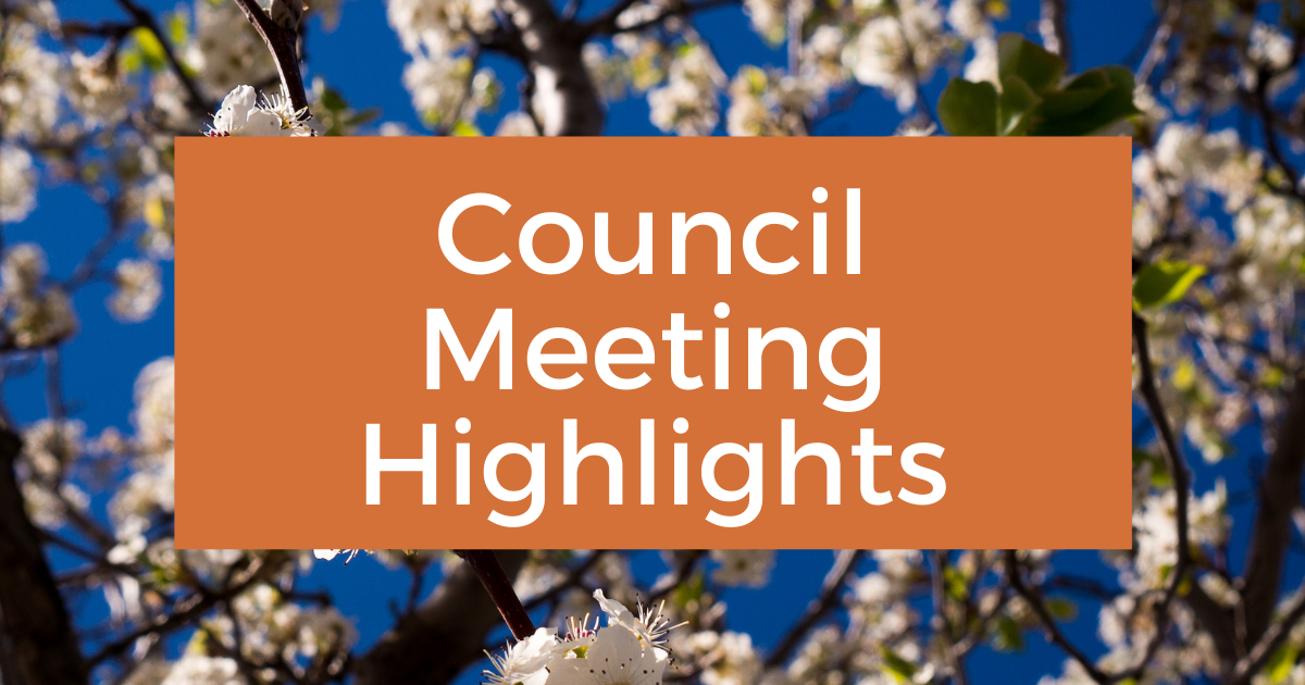 Council Meeting Highlights: October 2024 - Post Image